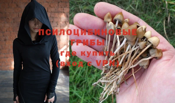 мдпв Абаза