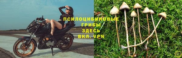 мдпв Абаза