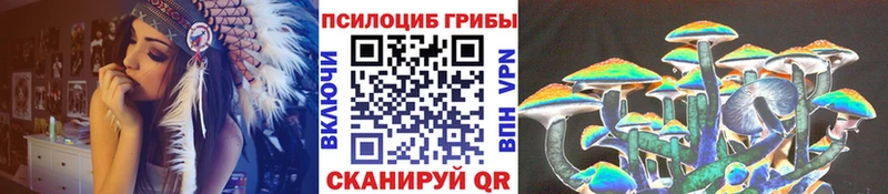 кракен как зайти  Саранск  Галлюциногенные грибы Psilocybe 