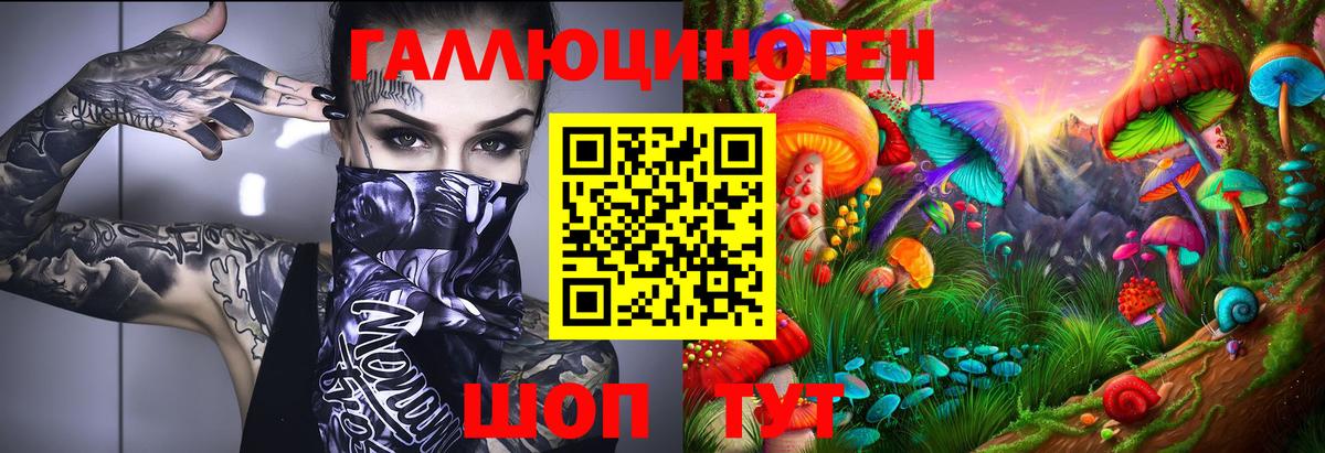 Саранск  Псилоцибиновые грибы MAGIC MUSHROOMS  Галлюциногенные грибы GOLDEN TEACHER  магазин продажи   Вход с VPN 