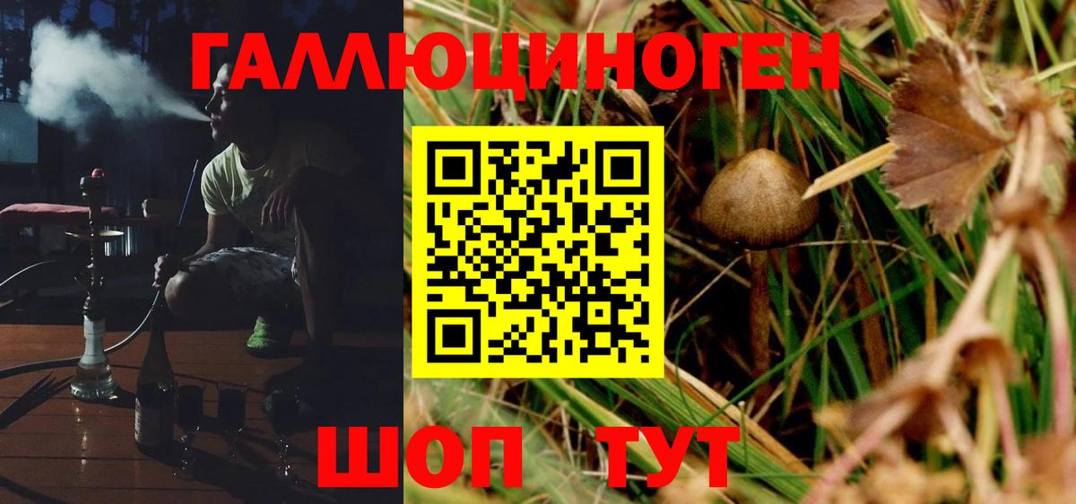 Псилоцибиновые грибы Cubensis Саранск